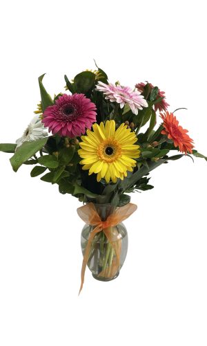 ARREGLO DE 9 GERBERAS